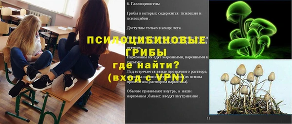 Альфа ПВП Медногорск