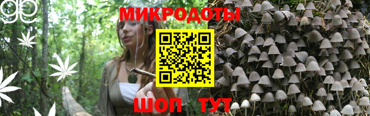 Псилоцибиновые грибы GOLDEN TEACHER Дзержинский