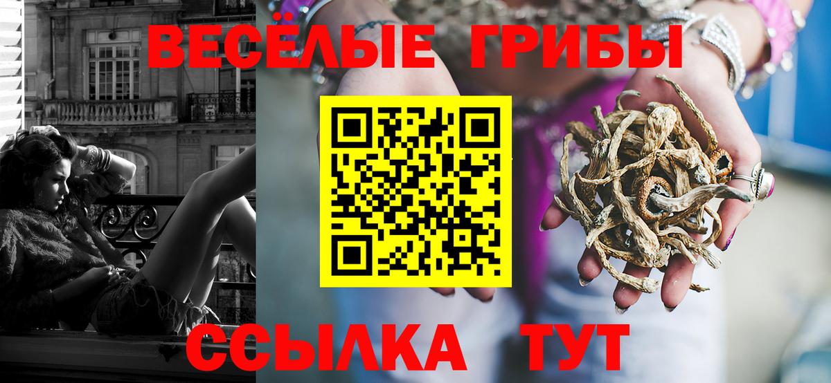 ГАШ  Каннабис  Дзержинский  Вход с VPN  Меф МЯУ МЯУ кристаллы  Cocaine 