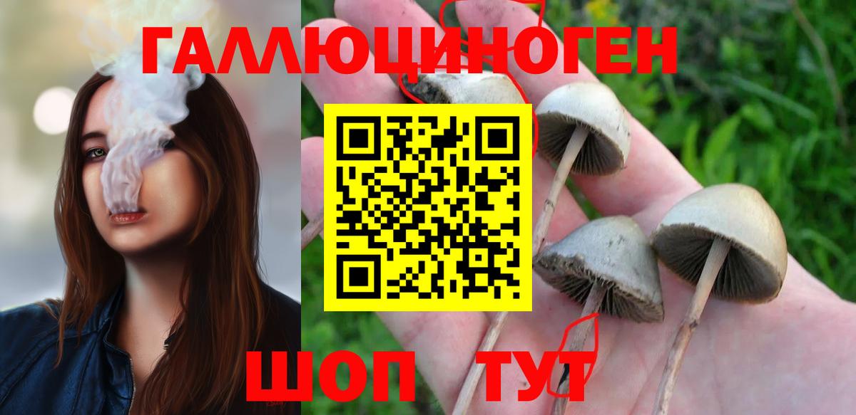 Псилоцибиновые грибы ЛСД Дзержинский